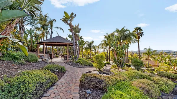 a view of a tennis ground with large trees