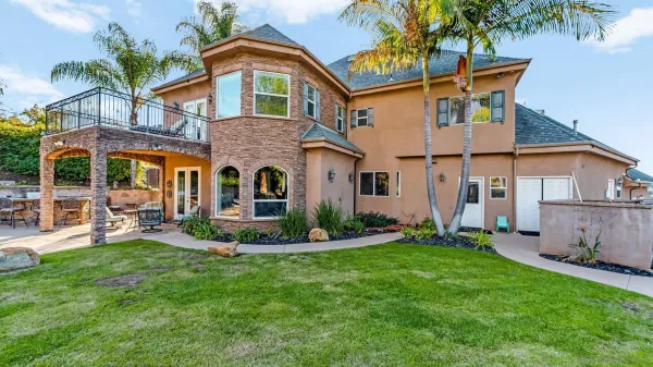 a view of a yard with plants