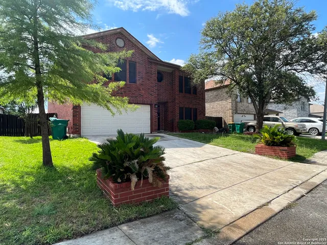 a view of a yard with plants and large trees