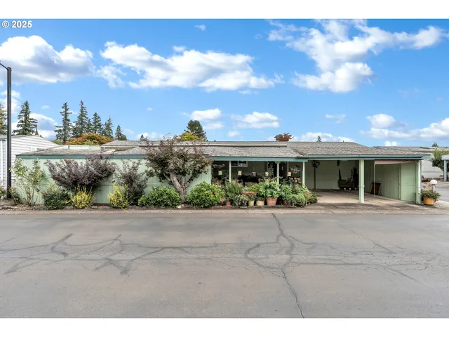 a view of a house with potted plants and a large tree