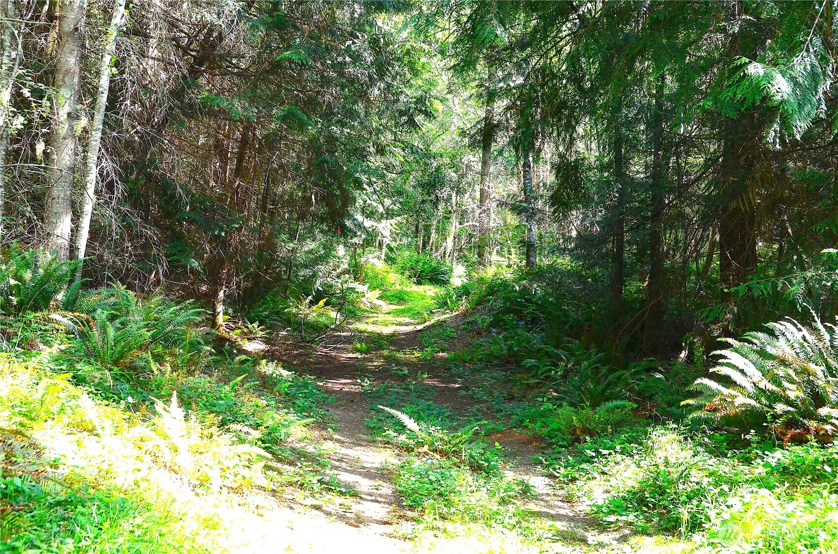 3-nka Romans Road Port Townsend, WA 98368 - Photo 1 of 7