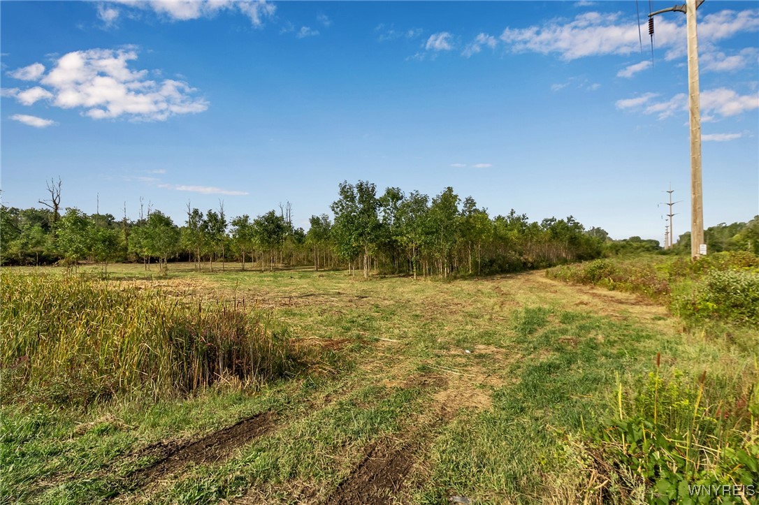 V/l Barnum Road Akron, NY 14001 - Photo 13 of 20