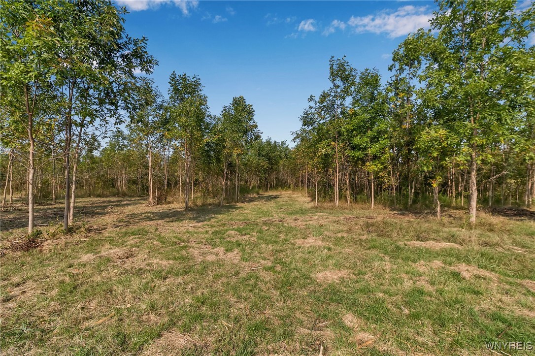 V/l Barnum Road Akron, NY 14001 - Photo 14 of 20