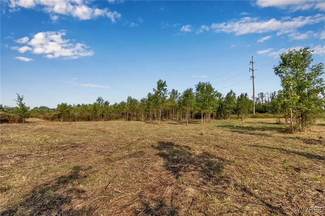 $795,000 | V/l Barnum Road, Akron, NY 14001