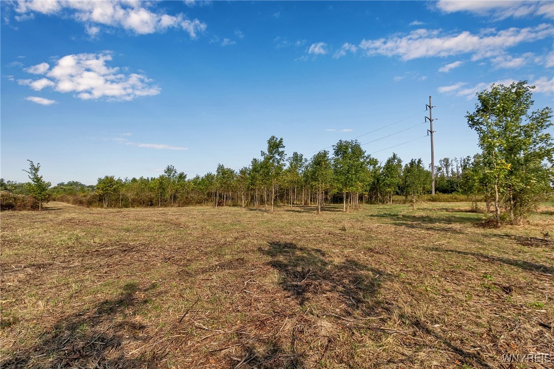 V/l Barnum Road Akron, NY 14001 - Photo 15 of 20