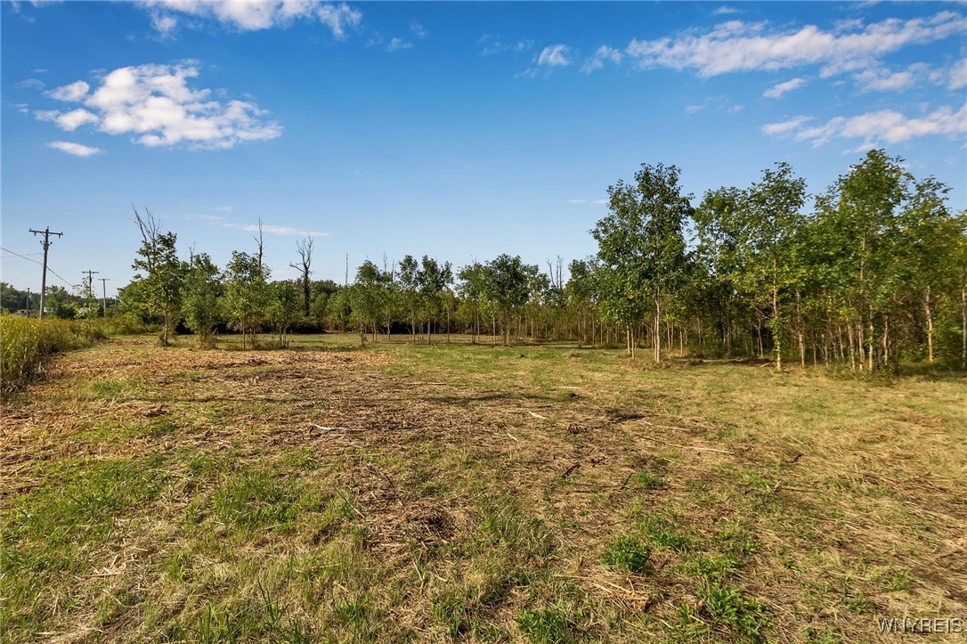 V/l Barnum Road Akron, NY 14001 - Photo 2 of 20