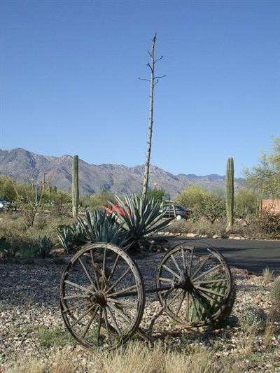 4650 East River Road Tucson, AZ 85718 - Photo 1 of 2 Gallery Image 1