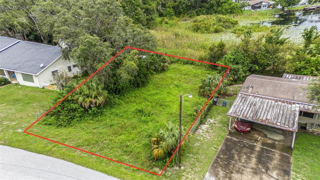 12236 Terra Ceia Avenue New Port Richey, FL 34654 - Photo 4 of 10 a garden view