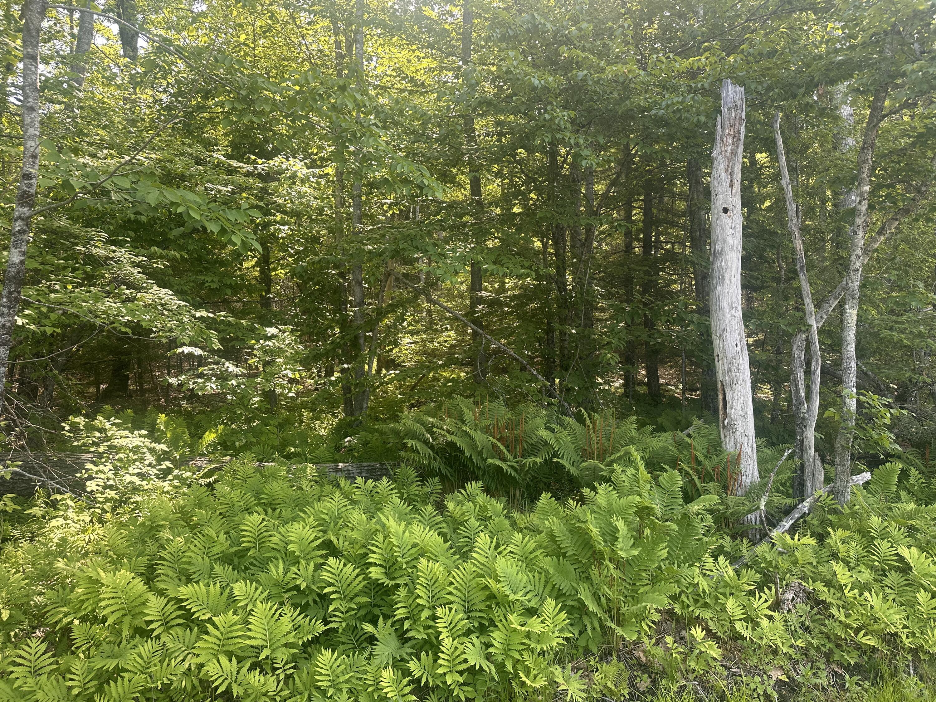 Lot #15 Greenacre Road Lincolnville, ME 04849 - Photo 9 of 23