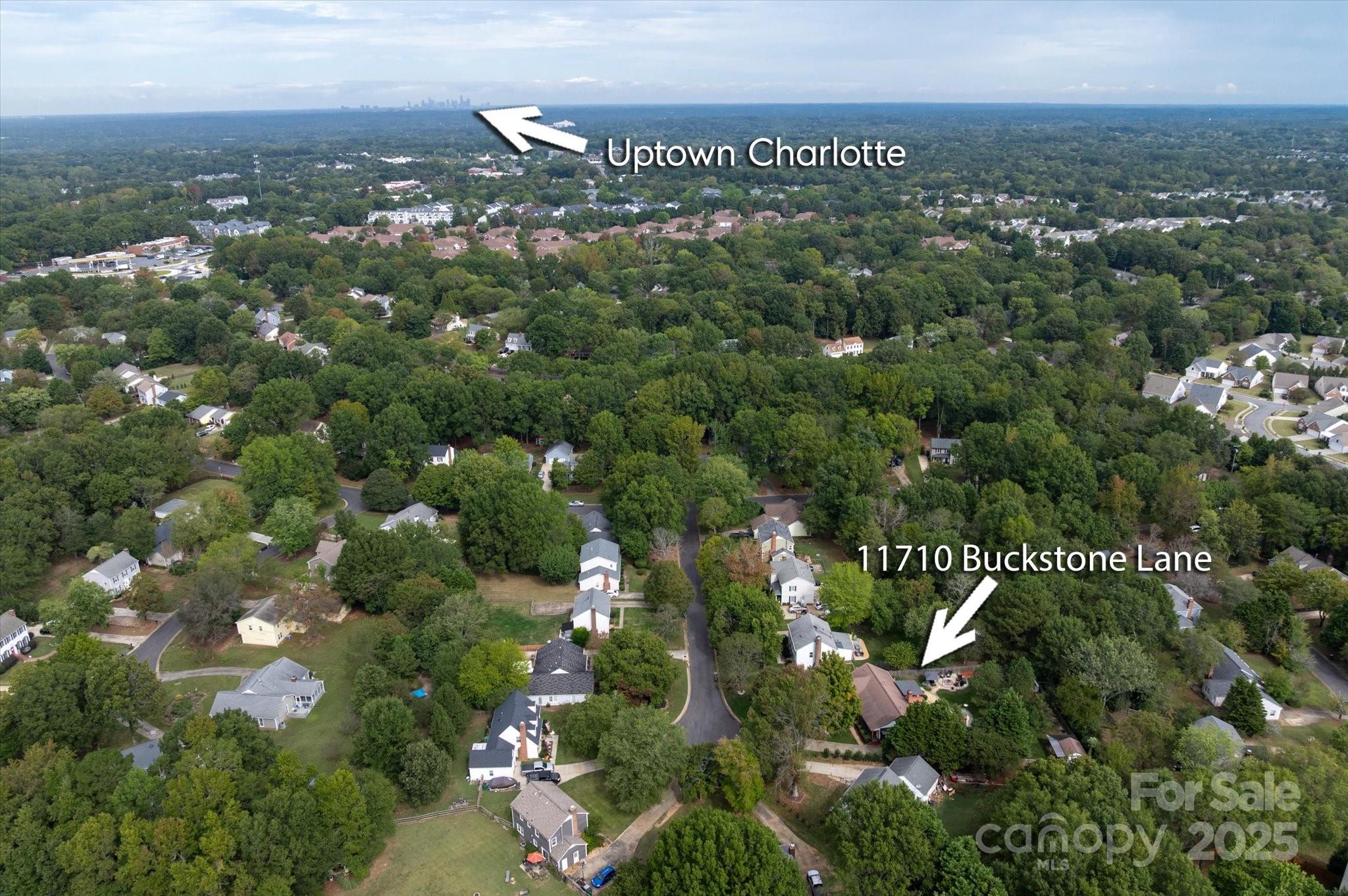 11710 Buckstone Lane Charlotte, NC 28277 - Photo 37 of 42 a view of a city