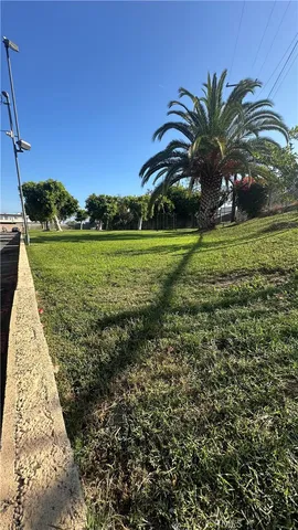 a view of a park with a yard