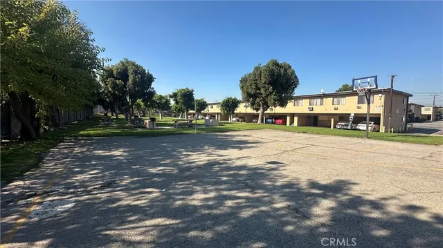 a view of a large trees with a big yard