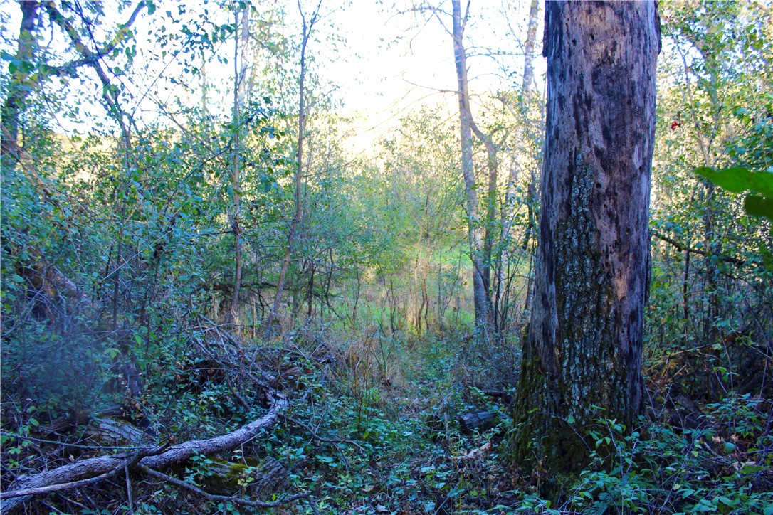 0 South Lowes Creek Road Eau Claire, WI 54701 - Photo 27 of 59