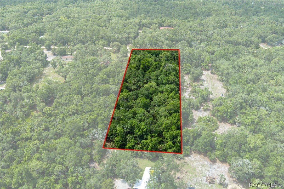 15085 West Rooster Crows Road Inglis, FL 34449 - Photo 9 of 16