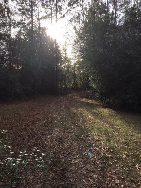 16254 Henry House Road Saucier, MS 39574 - Photo 17 of 20 IMG_3450