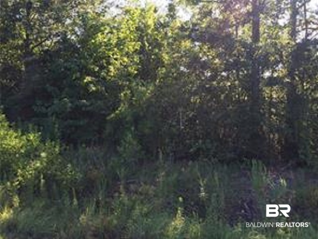 0 Old Pascagoula Road Grand Bay, AL 36541 - Photo 1 of 1