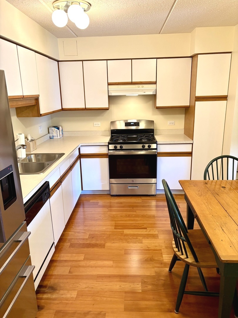 1220 Depot Street, Unit 305 Glenview, IL 60025 - Photo 11 of 28 a kitchen with stainless steel appliances granite countertop a sink and a stove