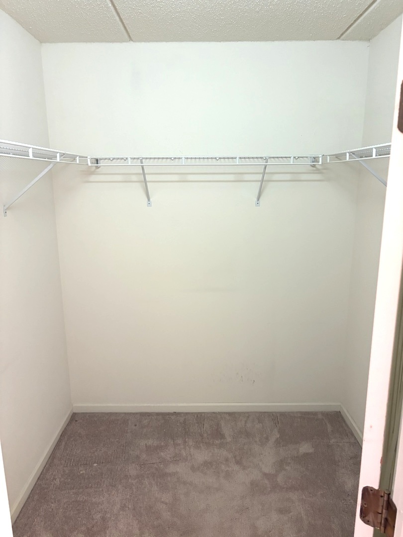 1220 Depot Street, Unit 305 Glenview, IL 60025 - Photo 15 of 28 a view of a room with racks on the wall