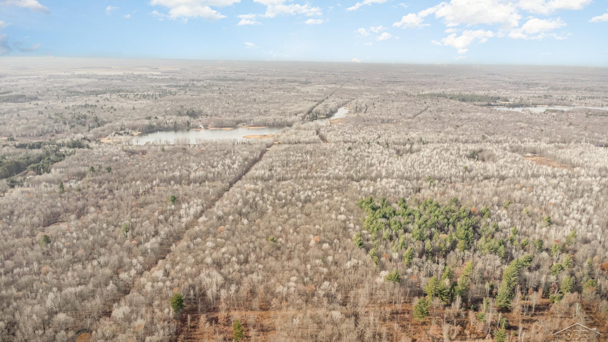 South E County Line Road Shepherd, MI 48883 - Photo 6 of 19