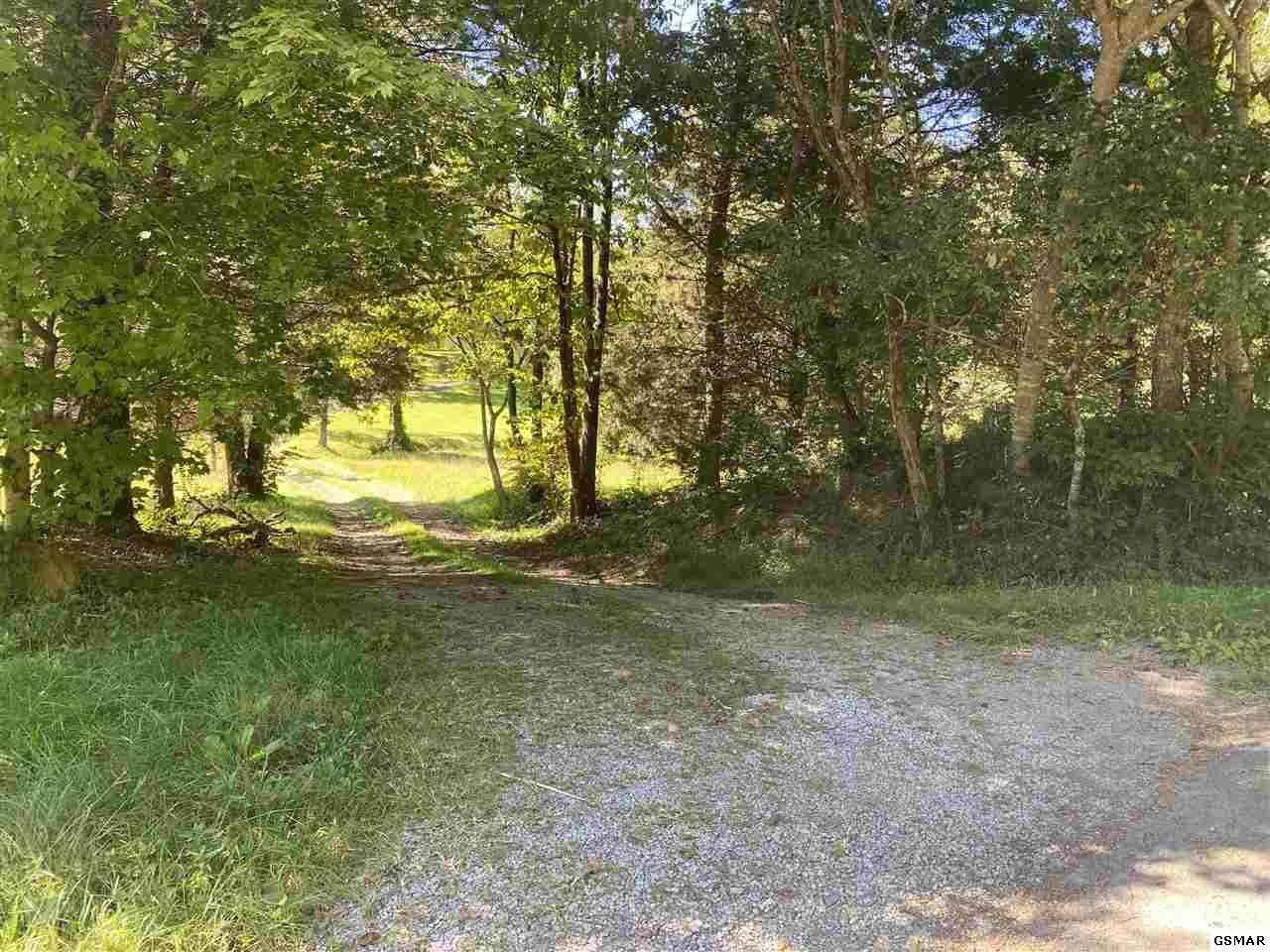 909 Stinnett Ridge Road Cosby, TN 37722 - Photo 14 of 35
