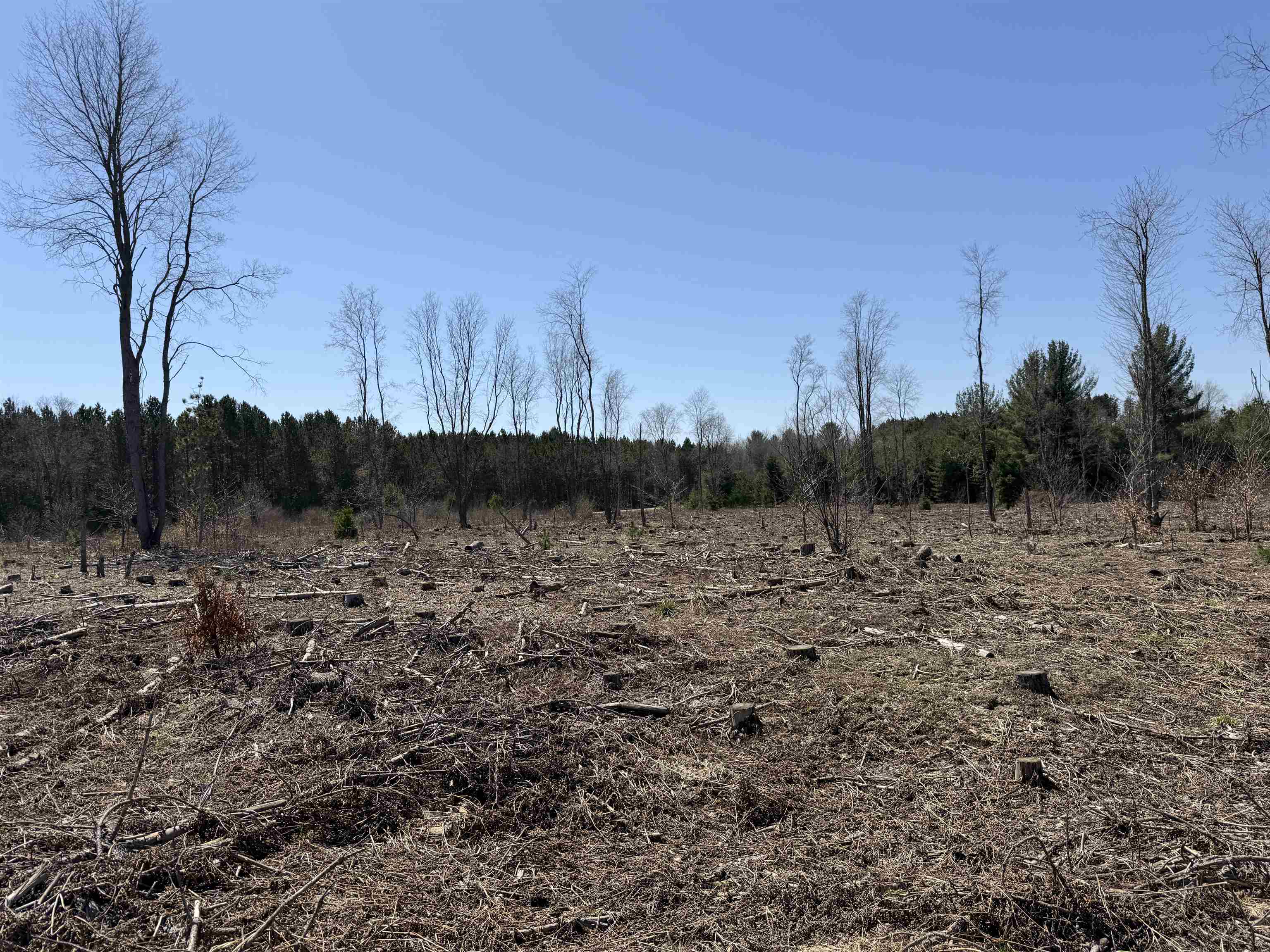 0 Landis Road Thompsonville, MI 49683 - Photo 9 of 26