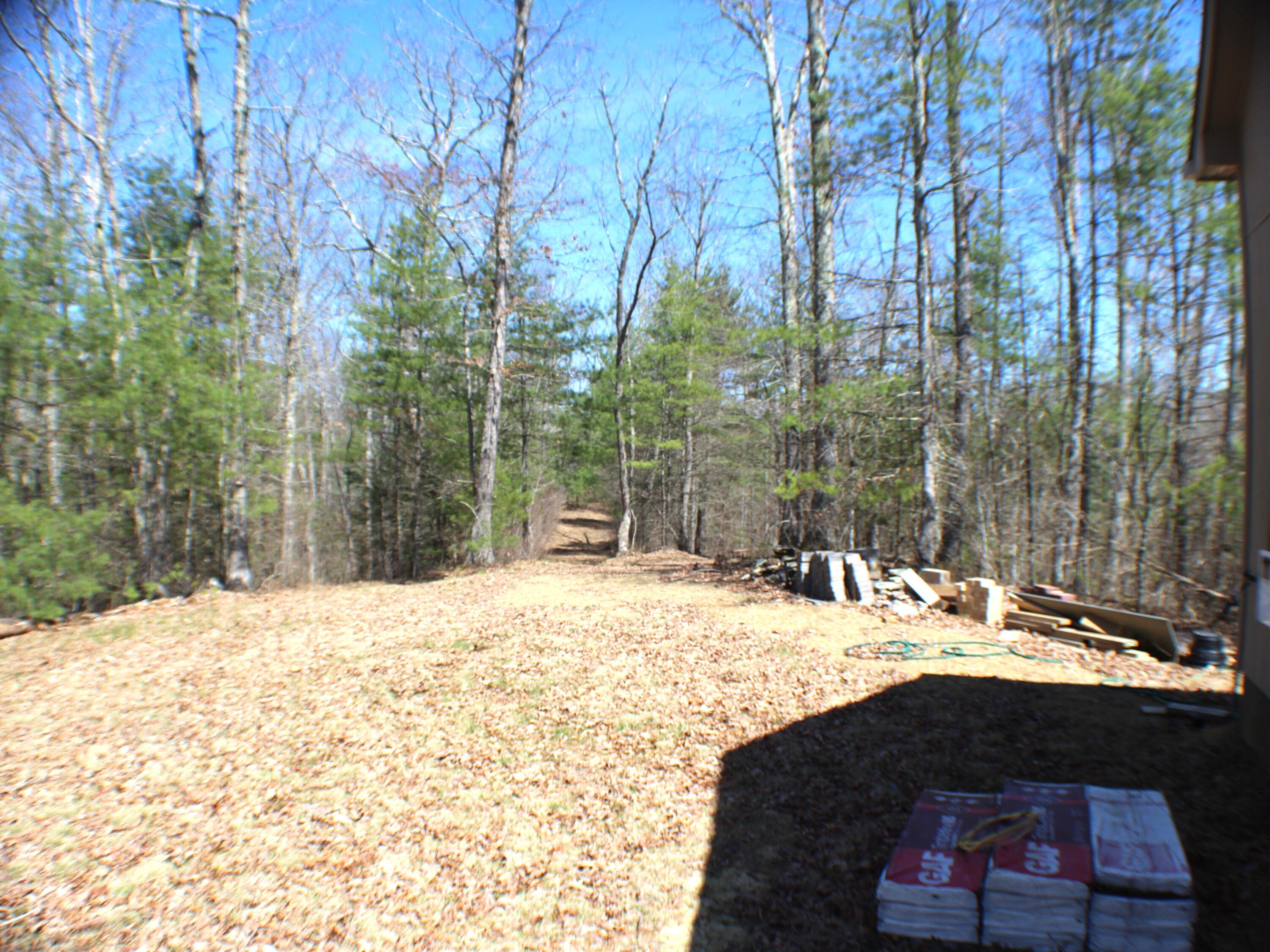 445 Rider Gap Road Marlinton, WV 24954 - Photo 17 of 26 Gallery Image 17