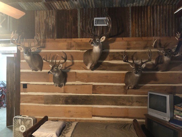 1855 Siloh Road Fort McKavett, TX 76841 - Photo 20 of 25 Gallery Image 20