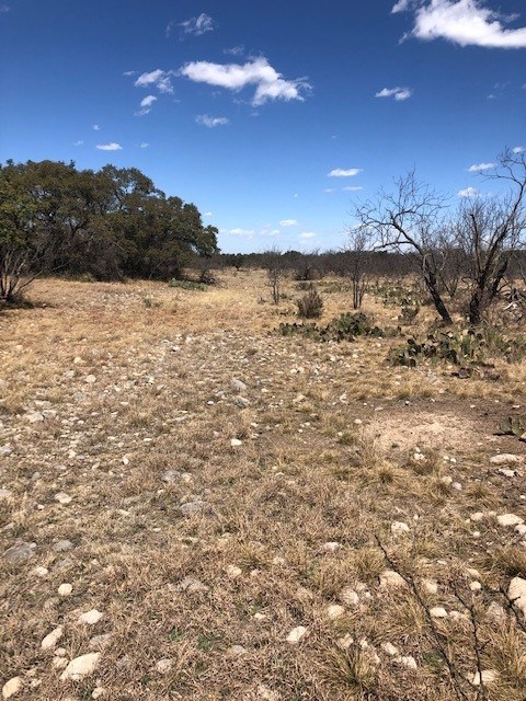 1855 Siloh Road Fort McKavett, TX 76841 - Photo 10 of 25 Gallery Image 10
