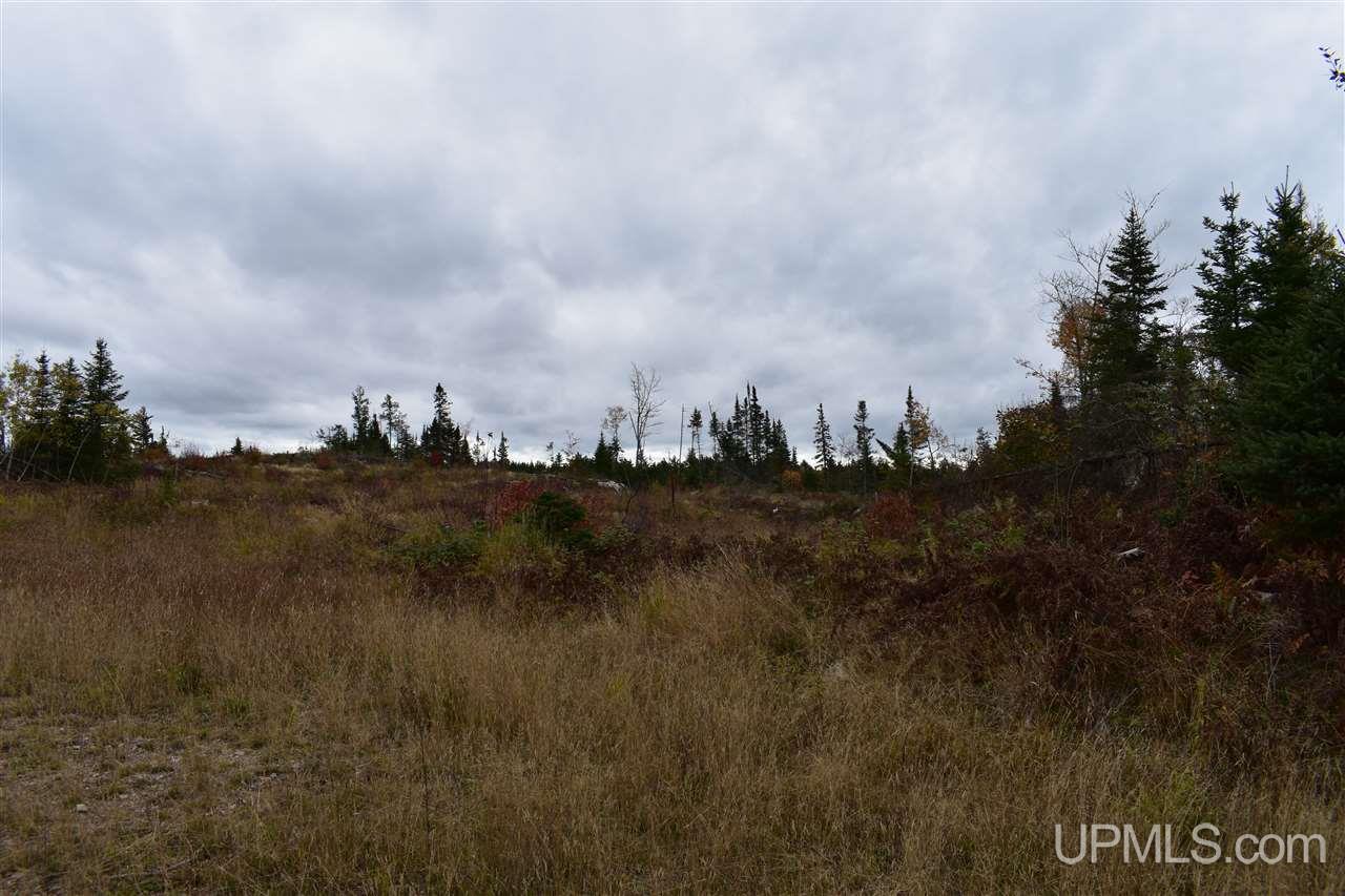 40-acres 40-acres Off Co Road Gwinn, MI 49841 - Photo 16 of 22