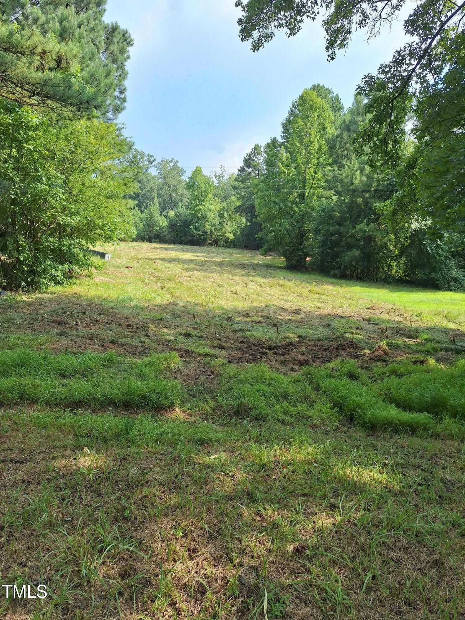 163 Sexton Road Apex, NC 27523 - Photo 9 of 10 clean up to back line Jordan Lake land