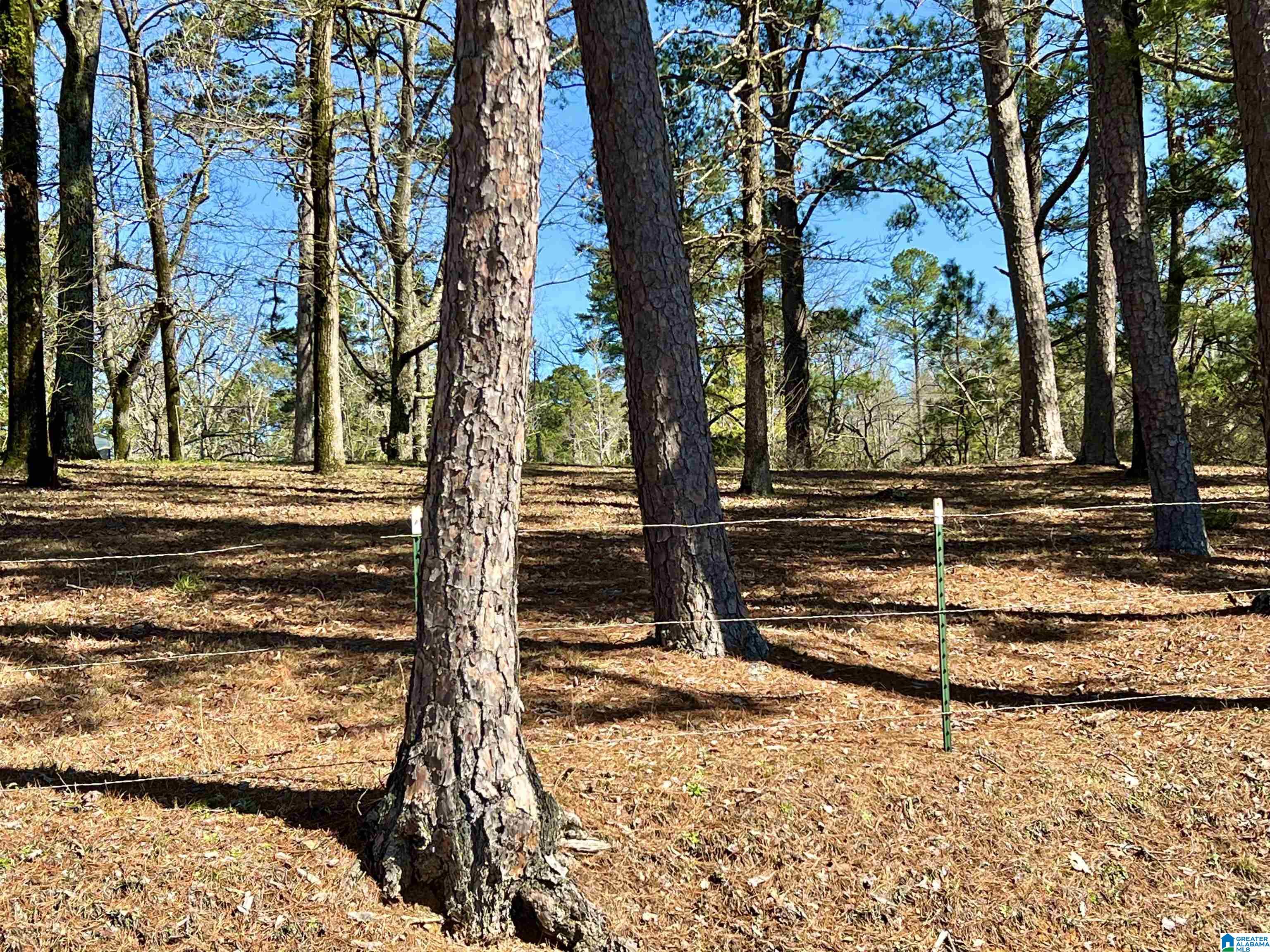 1120 Bob Glenn Road Morris, AL 35116 - Photo 7 of 11