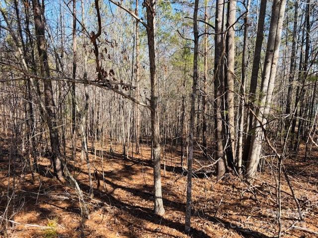 0 Creekside Circle, Unit 110 Rutherfordton, NC 28139 - Photo 10 of 28
