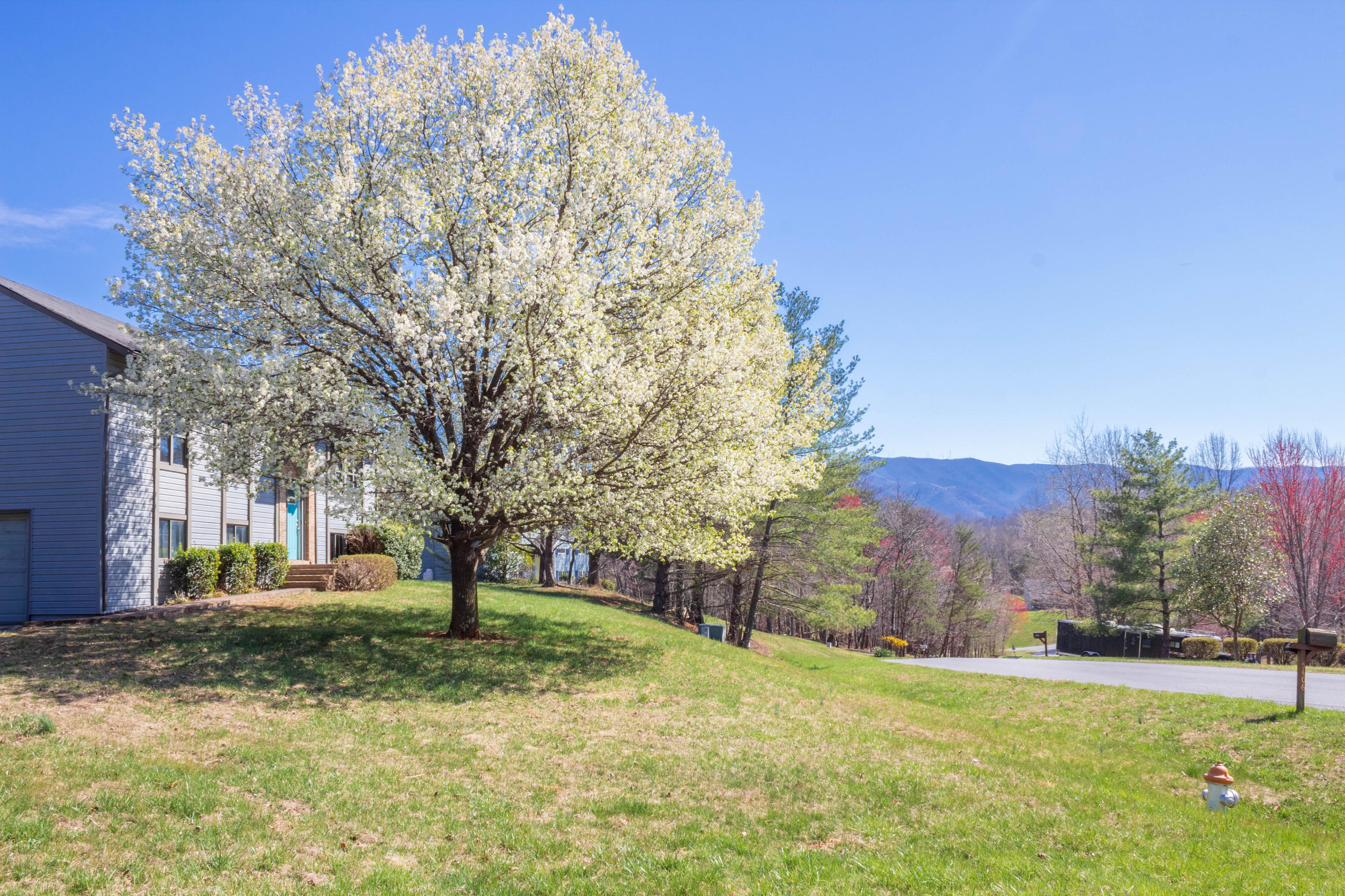 5406 Sundance Road Salem, VA 24153 - Photo 36 of 39 Mountain views (2)