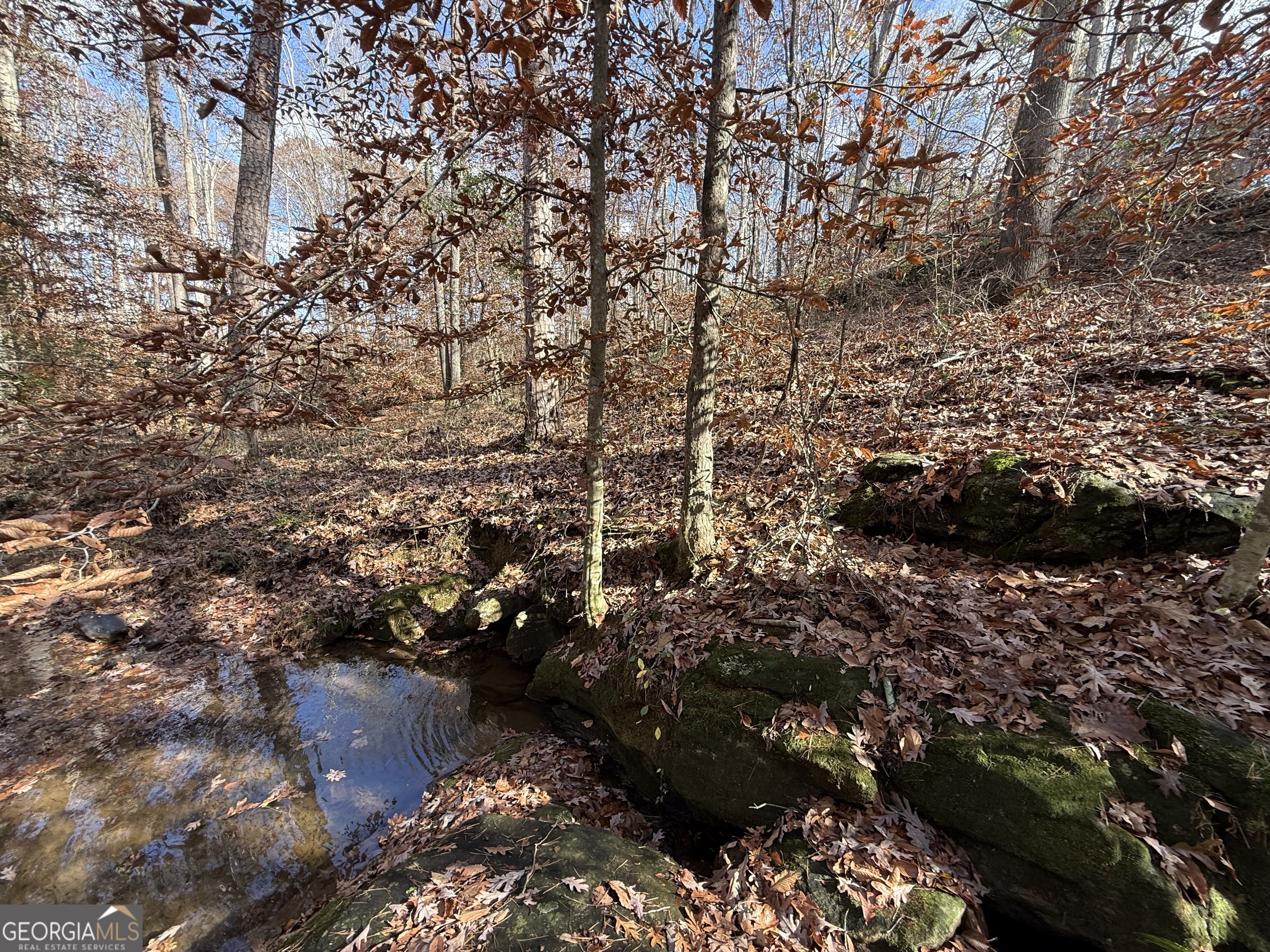 344 Mitchell Road Maysville, GA 30558 - Photo 4 of 23