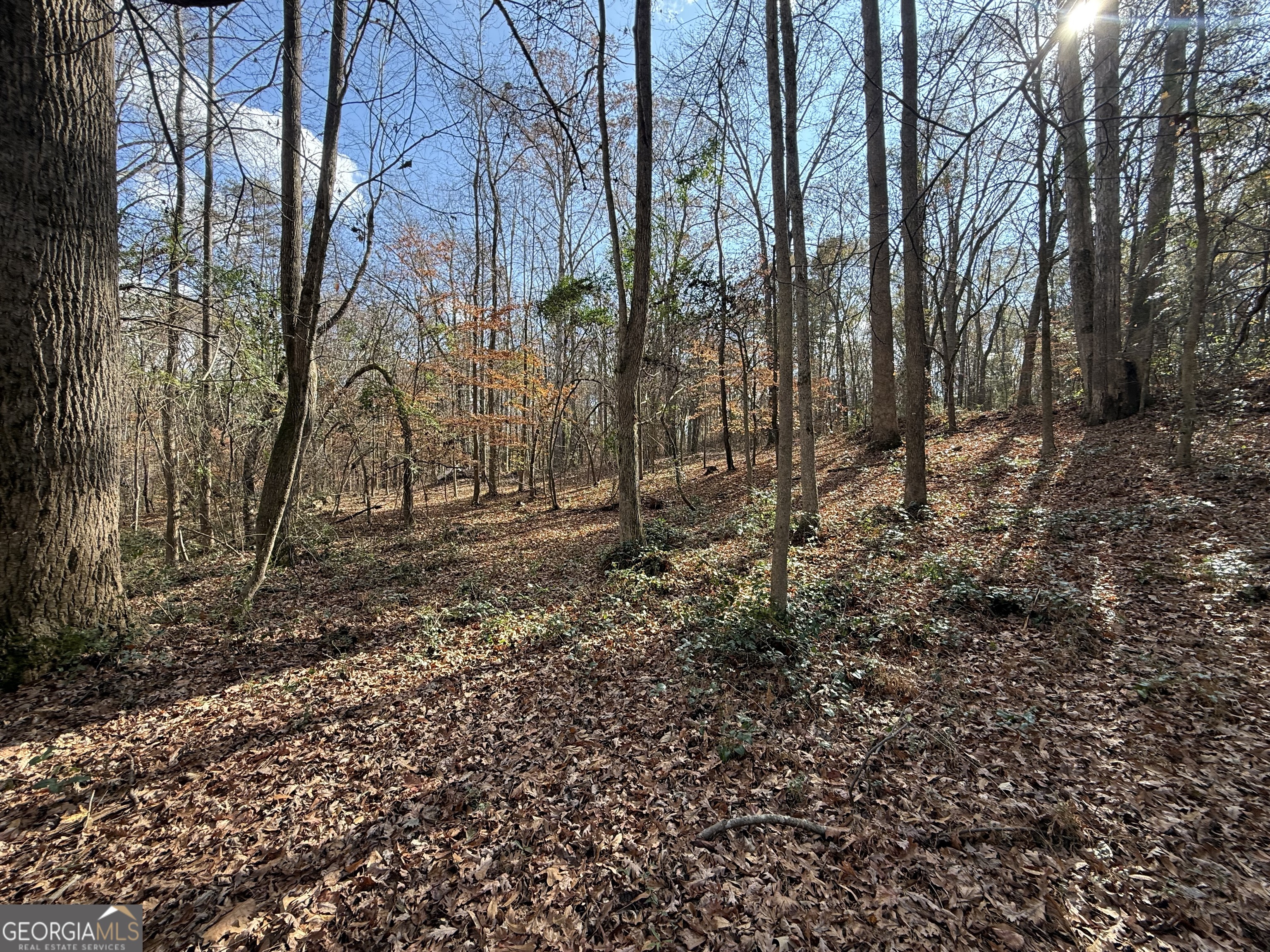 344 Mitchell Road Maysville, GA 30558 - Photo 5 of 23