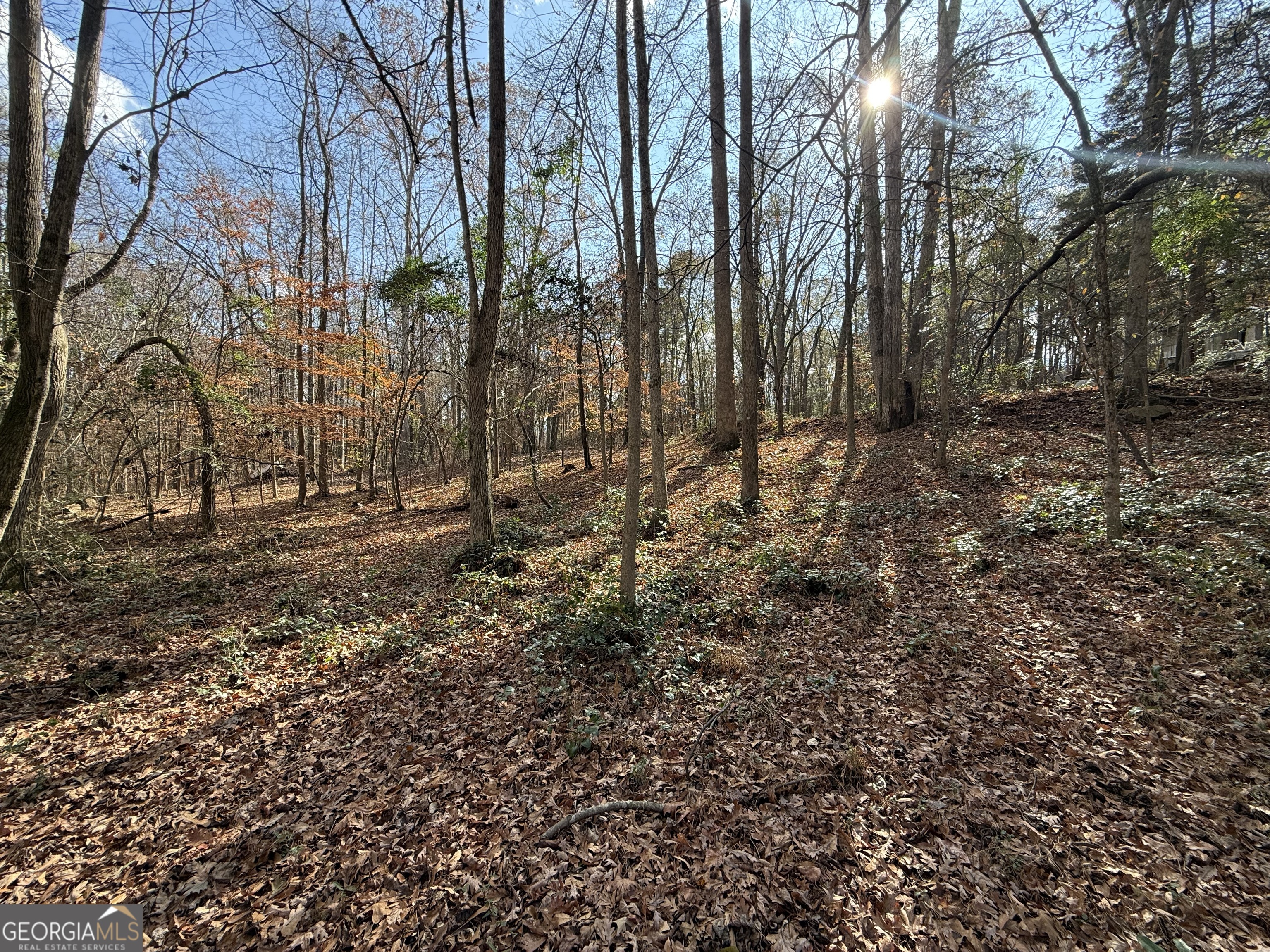 344 Mitchell Road Maysville, GA 30558 - Photo 6 of 23