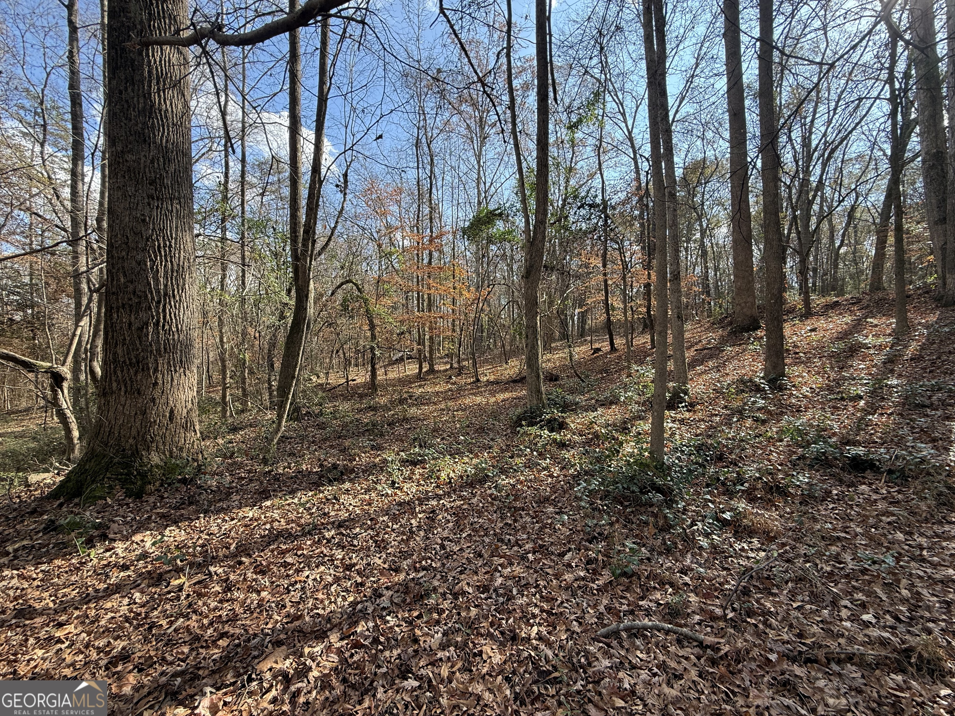 344 Mitchell Road Maysville, GA 30558 - Photo 7 of 23