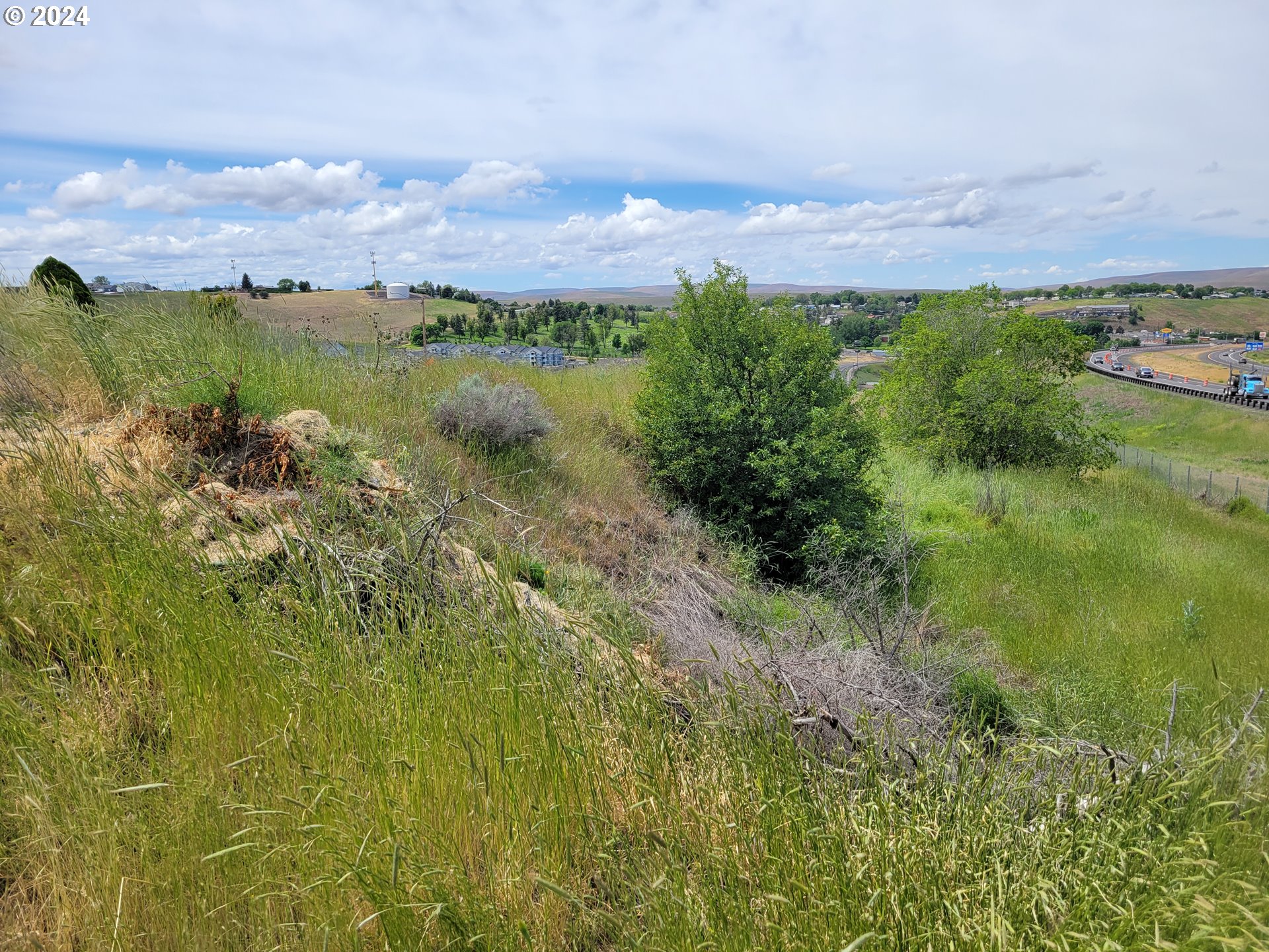1101 Marshall Place Pendleton, OR 97801 - Photo 13 of 26 a view of a lake with a houses