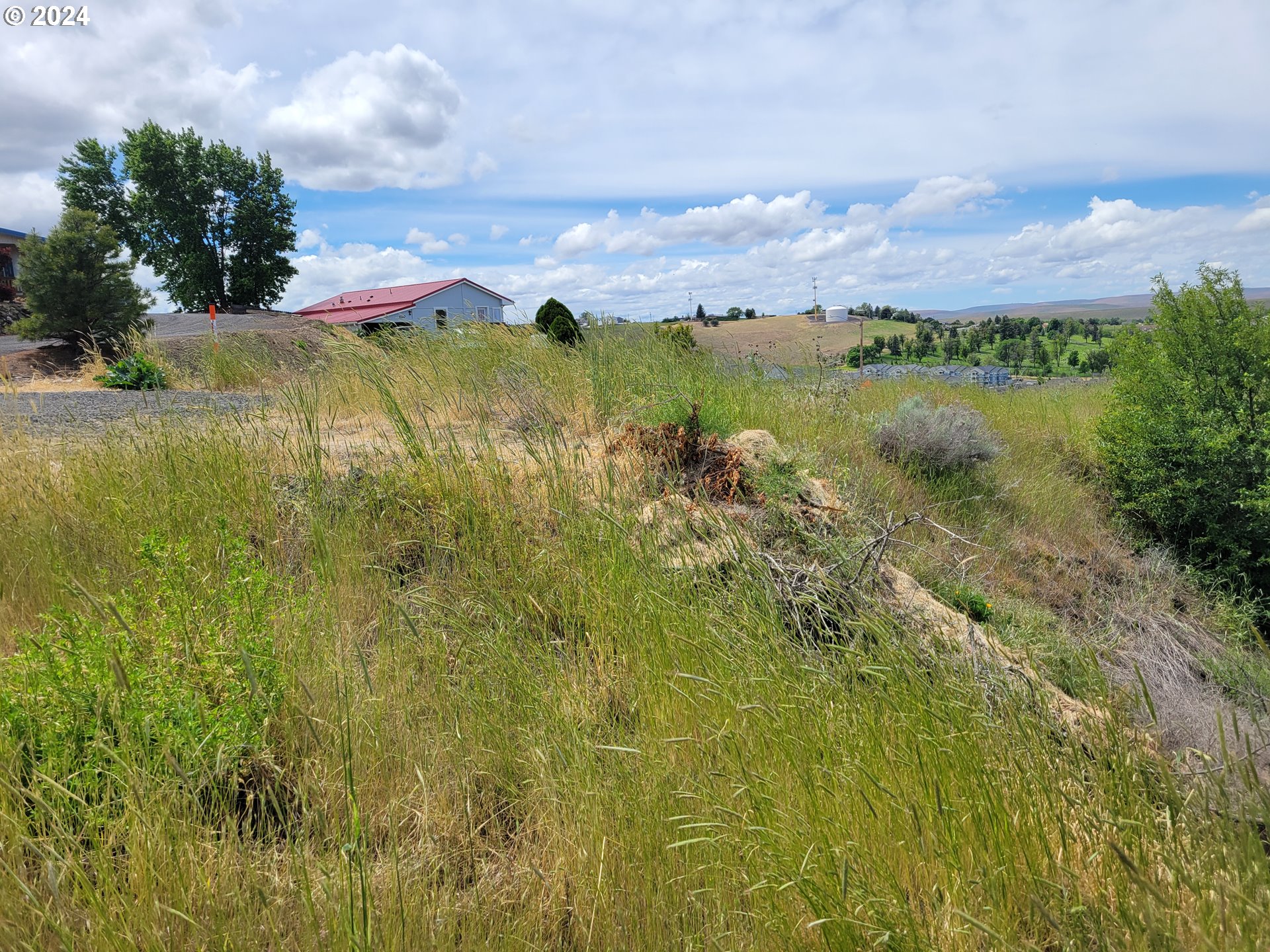 1101 Marshall Place Pendleton, OR 97801 - Photo 14 of 26 a view of a lake with houses in the back