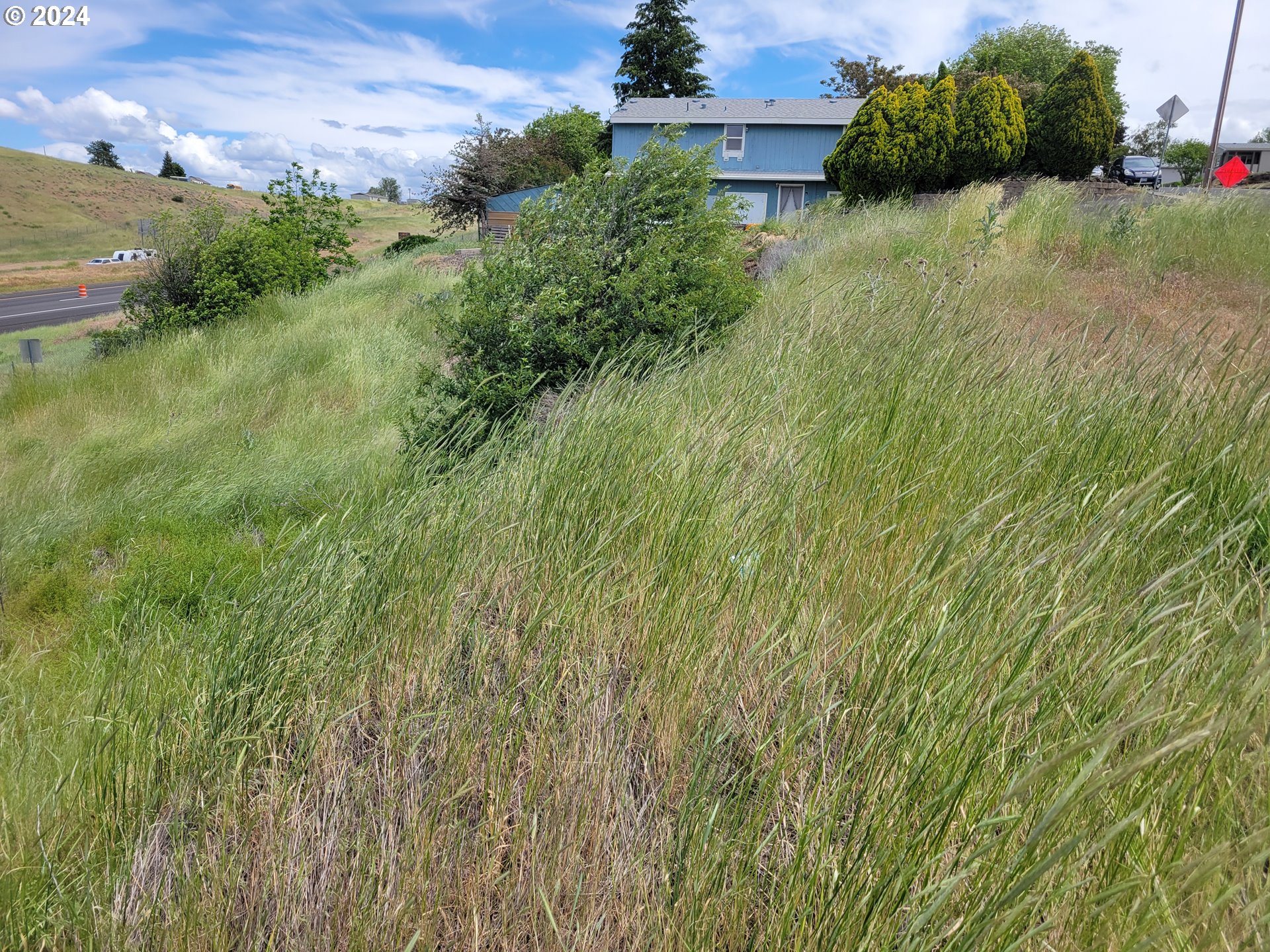 1101 Marshall Place Pendleton, OR 97801 - Photo 20 of 26 a view of a garden
