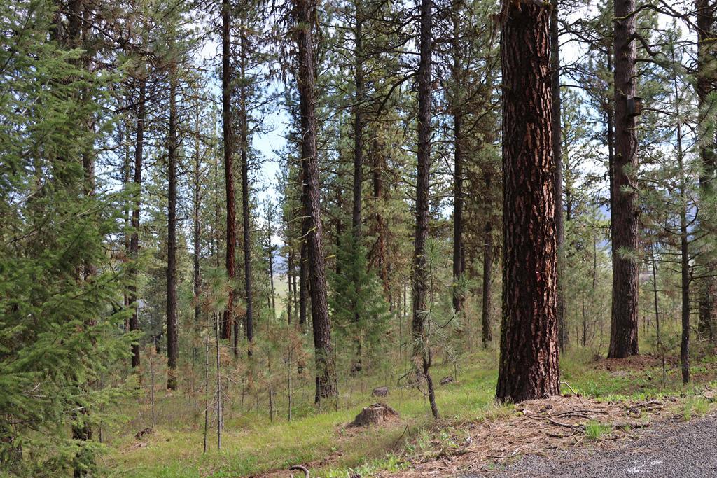 Tbd Hot Springs Road, Unit 6 New Meadows, ID 83654 - Photo 2 of 12