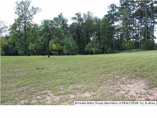 0 Roberts Road Liberty, MS 39645 - Photo 3 of 4