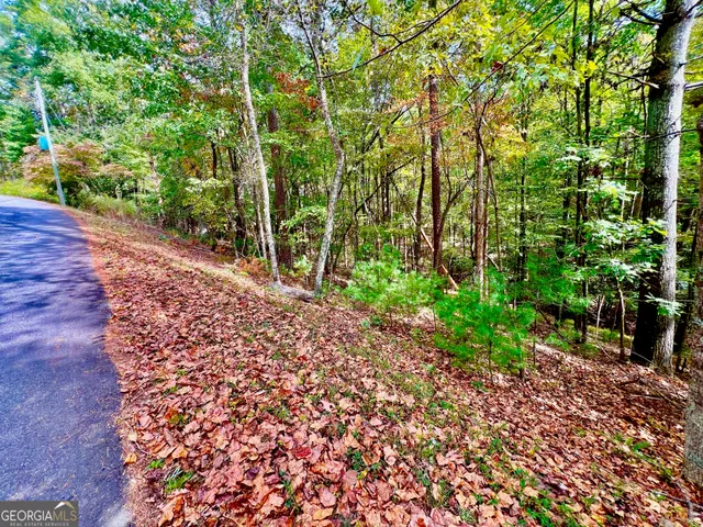 a view of backyard with green space