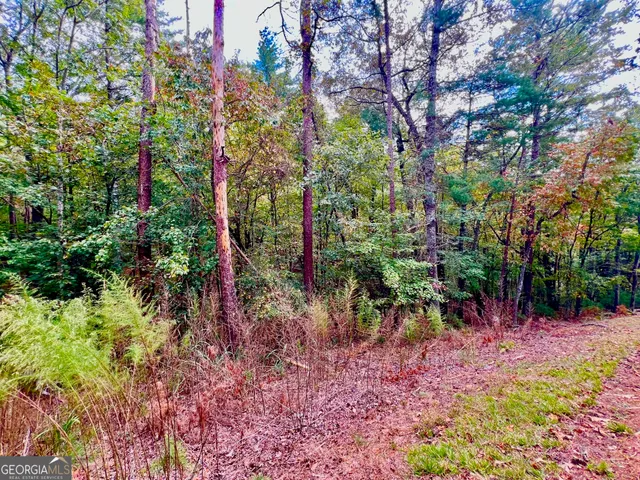 a view of a yard with large trees