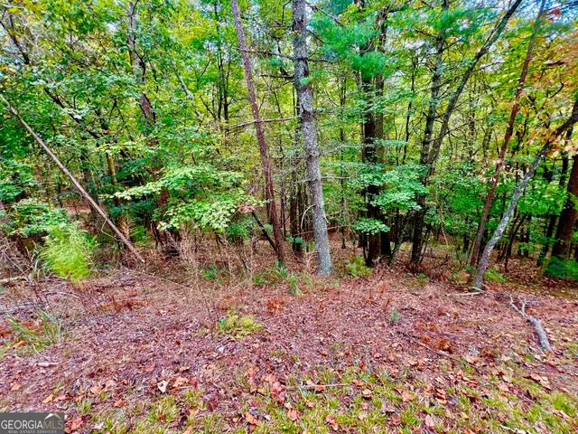 a view of a yard with a tree