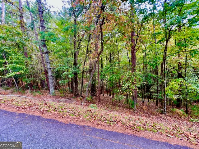 a backyard of a house with lots of trees