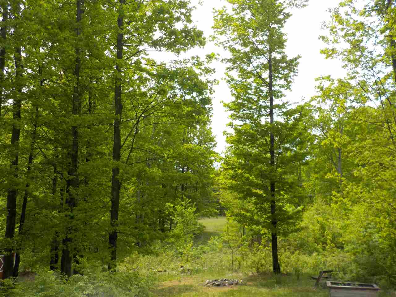 18848 Number One Road Thompsonville, MI 49683 - Photo 24 of 24 1830305-26.JPG