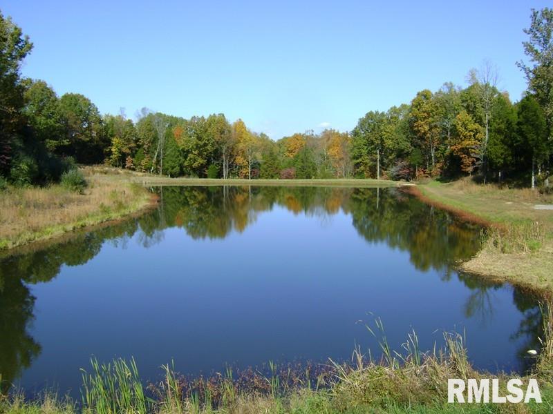 0 Cross Creek Road Makanda, IL 62958 - Photo 3 of 21