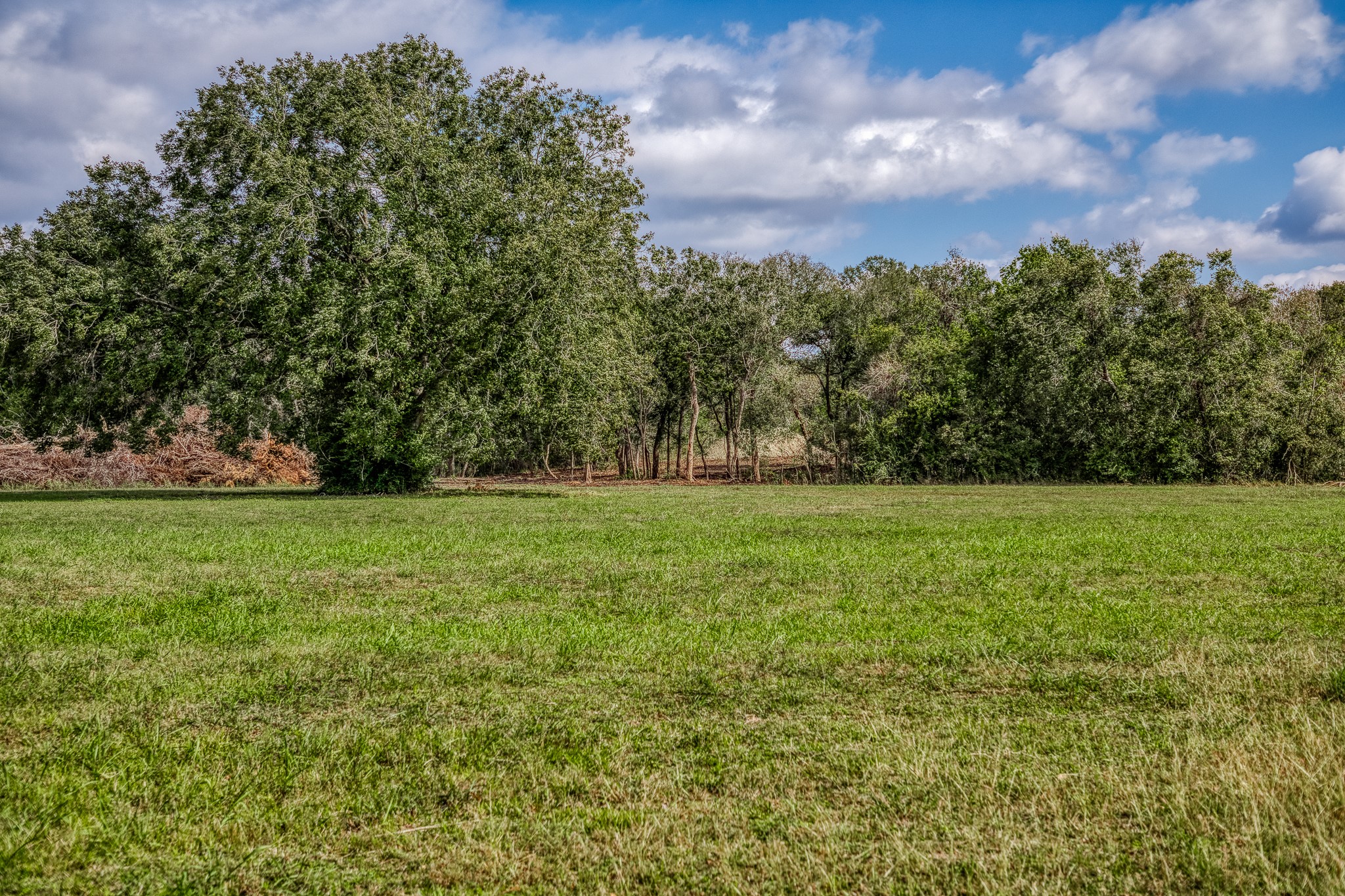 5 Sun Oil Road Brenham, TX 77833 - Photo 15 of 28 a view of garden with trees
