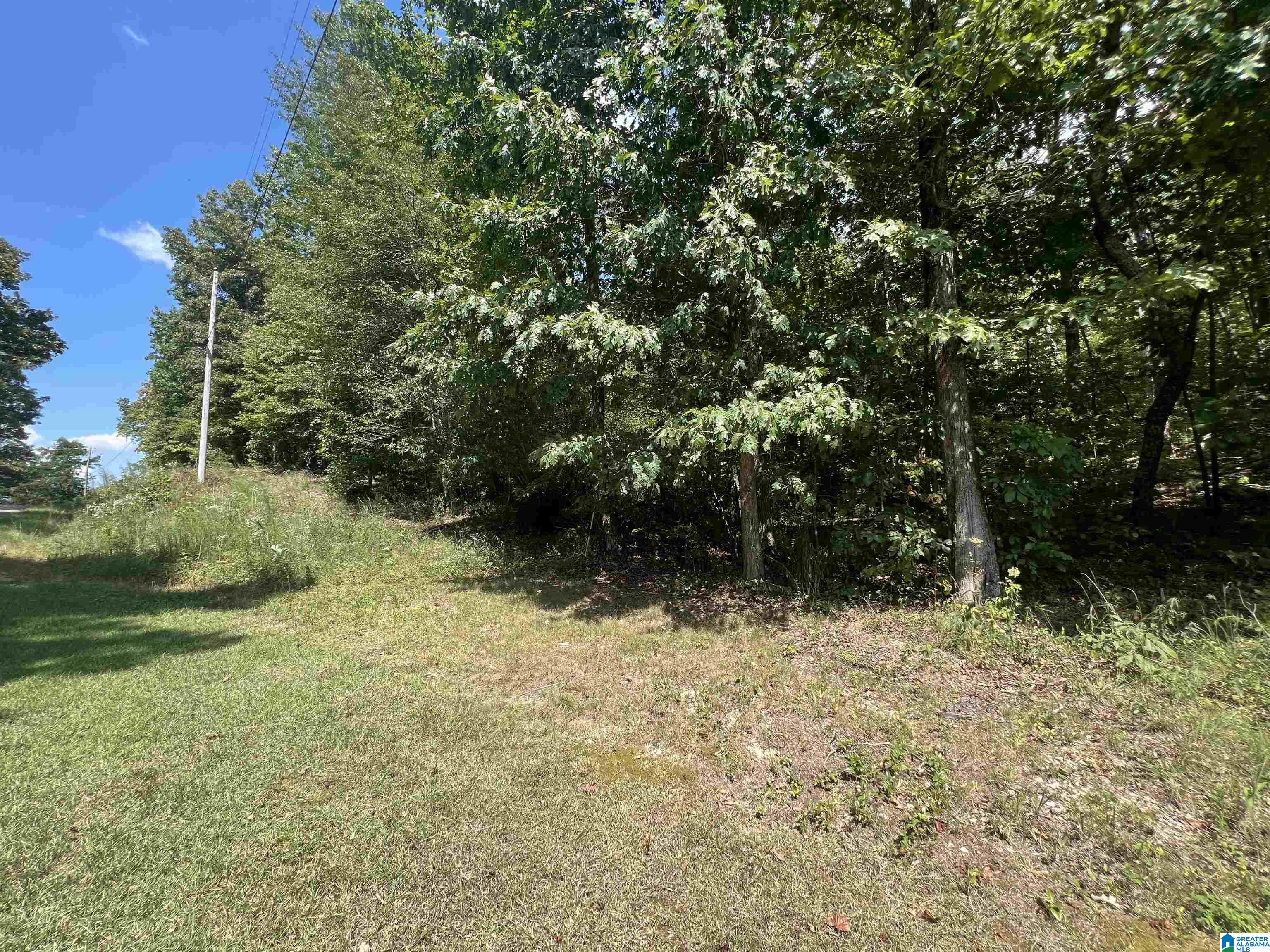 0 Taylor Road, Unit 10 2 Remlap, AL 35133 - Photo 6 of 25
